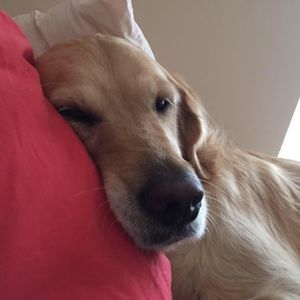 Meet your Posher, Jenny